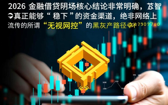 无视风控稳下的口子2026