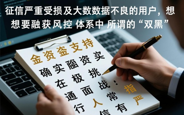 双黑烂户能下款的口子有什么