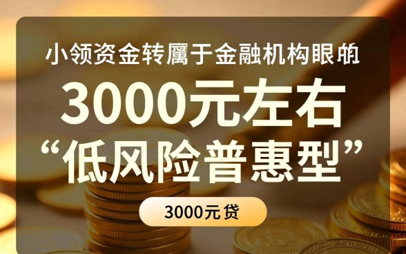 3000左右贷款必下的口子有哪些