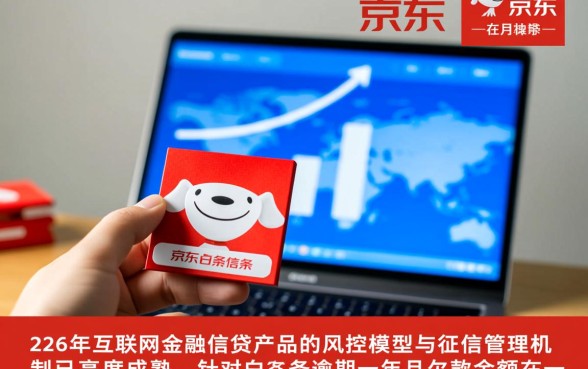 京东白条逾期一年不还会怎么样