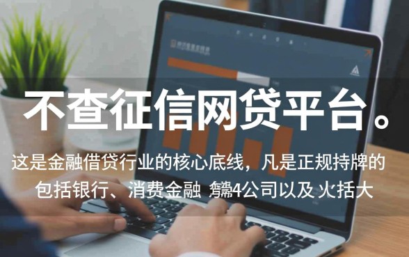 有没有不查征信的网贷平台