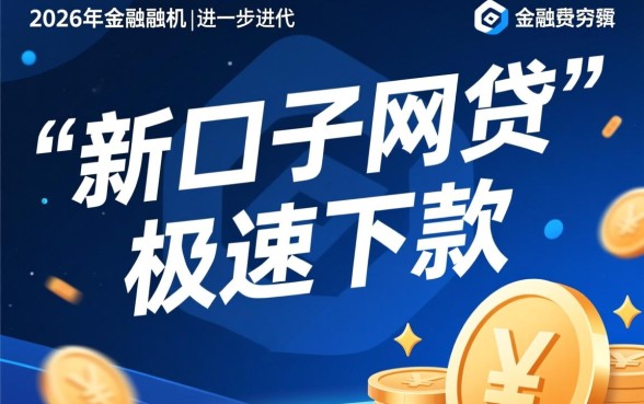 新口子网贷真的极速下款吗