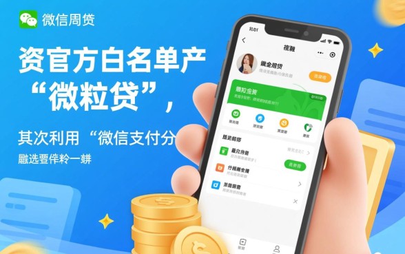 什么平台才能借到钱呢微信