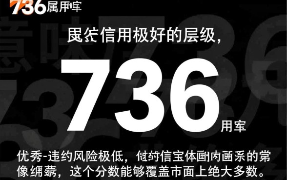 芝麻分736能做什么贷款