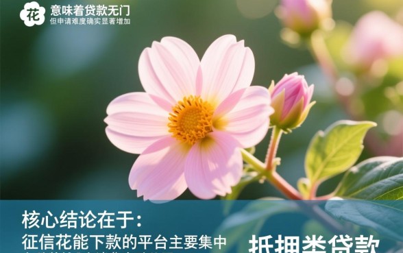 征信花能下款的平台有哪些