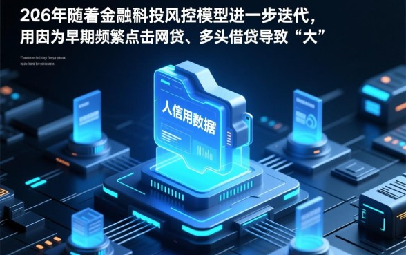 大数据花了怎么大额贷款呢