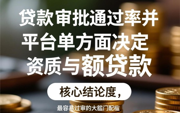 什么大额贷款平台容易过审