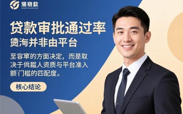 什么大额贷款平台容易过审