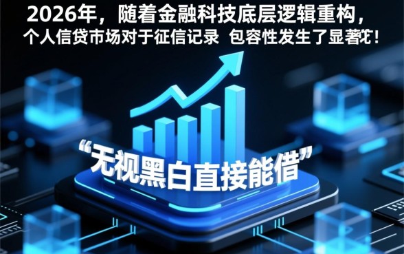 无视黑白直接能借款的小贷哪里有