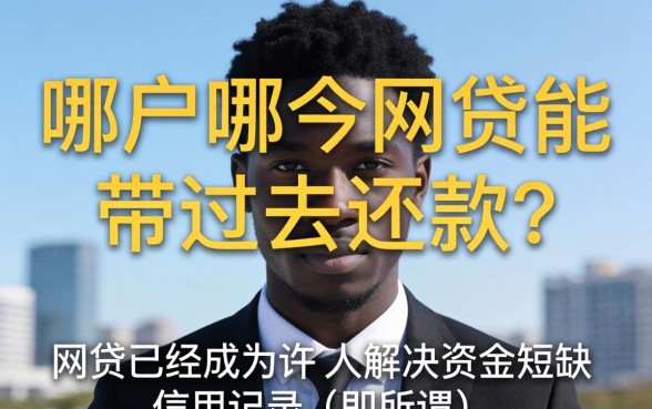 黑户哪个网贷能带过去还款