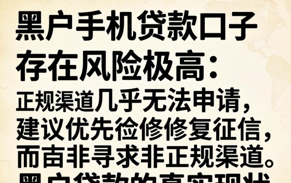 黑户贷款平台哪个能下款2024