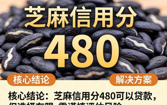 芝麻信用分480能贷款吗