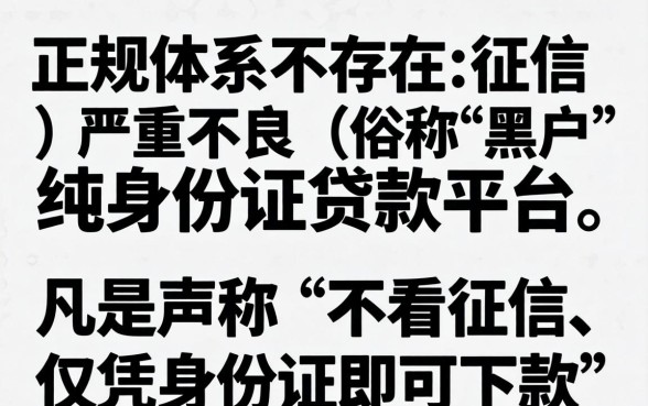 黑户身份证贷款有哪些平台