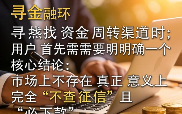 2024秒下款的黑户贷款口子推荐