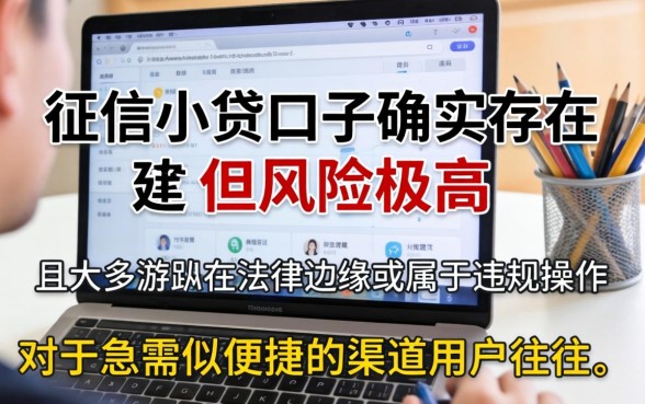 不查征信小贷口子能贷款吗