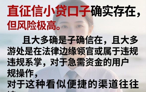 不查征信小贷口子能贷款吗