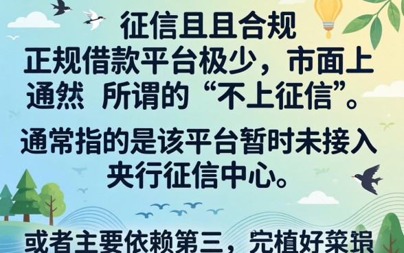 2024不查征信的贷款口子