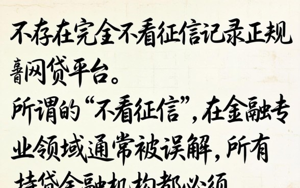 2024不看征信容易下款的有哪些