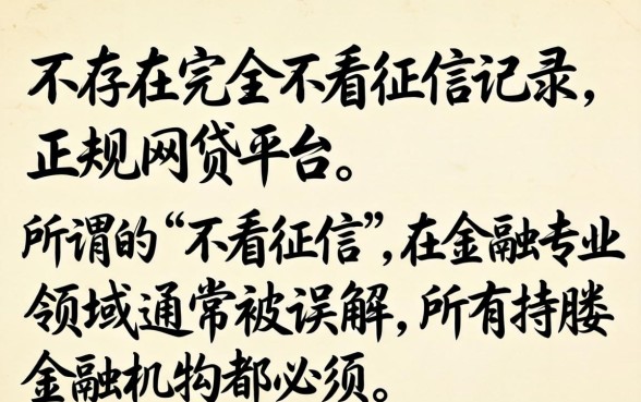 2024不看征信容易下款的有哪些