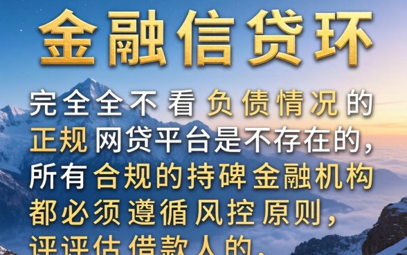 哪个网贷平台不看负债情况