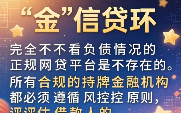 哪个网贷平台不看负债情况