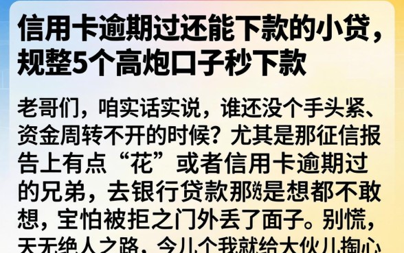 信用卡逾期过还能下款的小贷，规整5个高炮口子秒下款