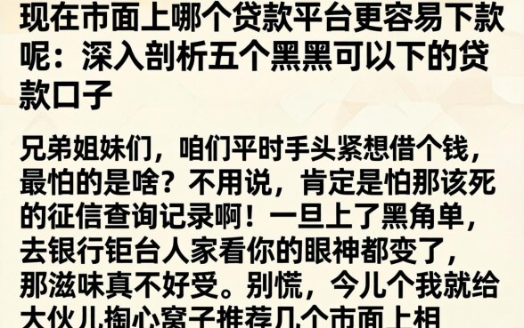 现在市面上哪个贷款平台更容易下款呢，深入剖析五个黑户可以下的贷款口子