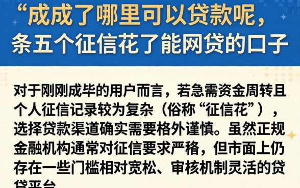 成年了哪里可以贷款呢，条列五个征信花了能网贷的口子