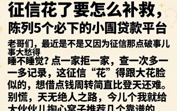 征信花了要怎么补救，陈列5个必下的小额贷款平台