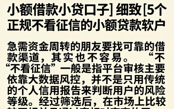 小额借款小贷口子，细致阐述5个正规不看征信的小额贷款软件