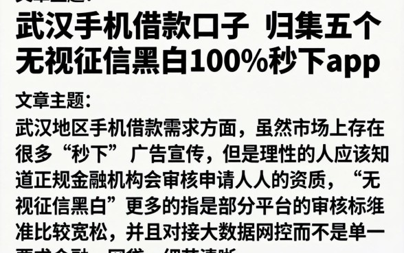 武汉手机借款口子，归集五个无视征信黑白100%秒下app