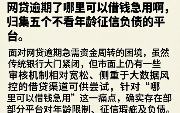 网贷逾期了哪里可以借钱急用啊，归集五个不看年龄征信负债的平台