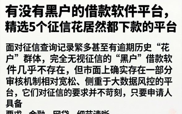 有没有黑户的借款软件平台，精选5个征信花居然都下款的平台