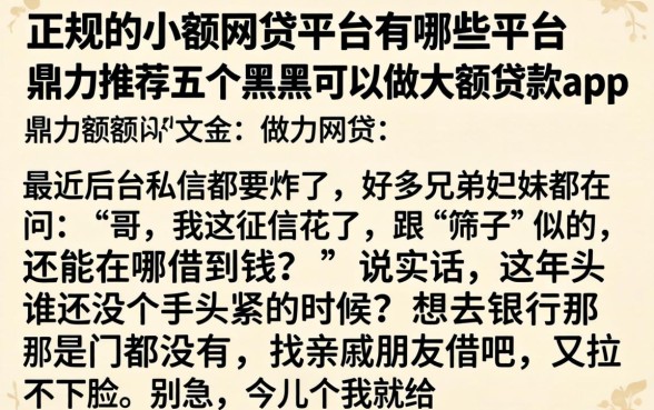正规的小额网贷平台有哪些平台，鼎力推荐五个黑户可以做大额贷款app