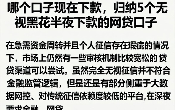 哪个口子现在下款，归纳5个无视黑花半夜下款的网贷口子
