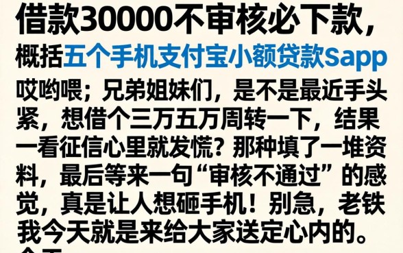 借款30000不审核必下款，概括五个手机支付宝小额贷款的app