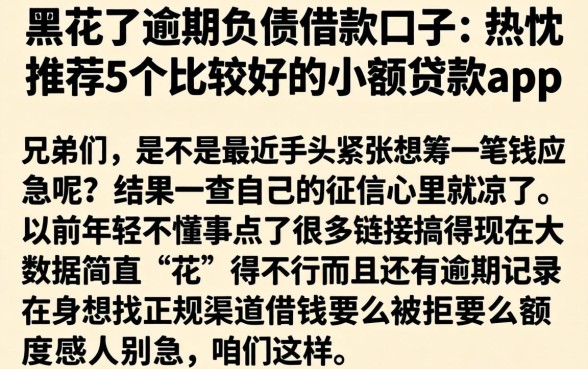 黑花了逾期负债借款口子，热忱推荐5个比较好的小额贷款app