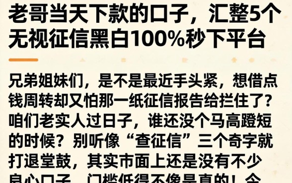 老哥当天下款的口子，汇整5个无视征信黑白100%秒下平台