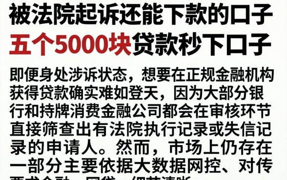 被法院起诉还能下款的口子，详尽说明五个5000块贷款秒下口子