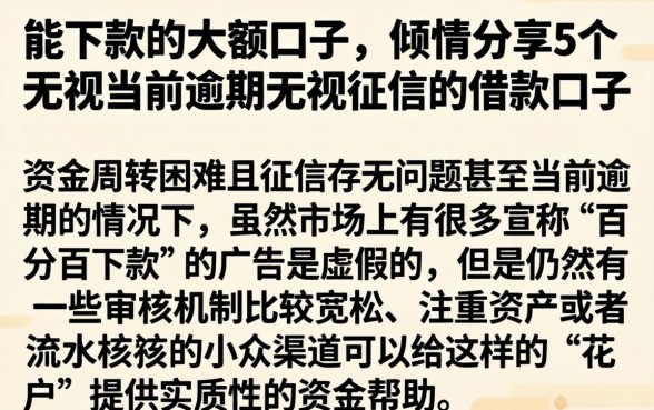 能下款的大额口子，倾情分享5个无视当前逾期无视征信的借款口子