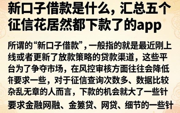 新口子借款是什么，汇总五个征信花居然都下款了的app