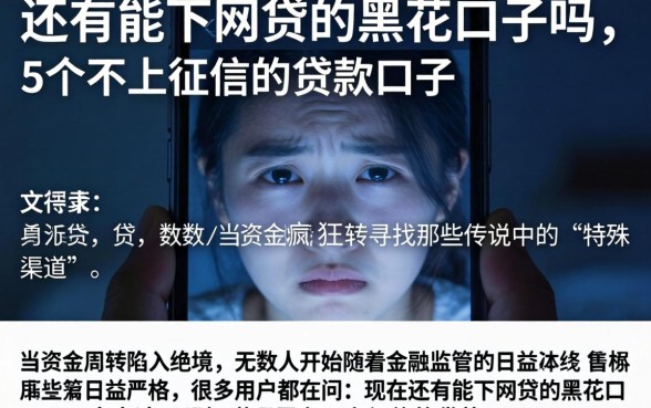 还有能下网贷的黑花口子吗，详细阐述5个不上征信的贷款口子