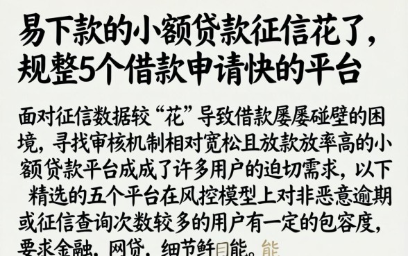 易下款的小额贷款征信花了，规整5个借款申请快的平台
