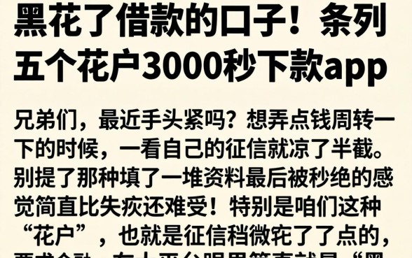 黑花了借款的口子，条列五个花户3000秒下款app