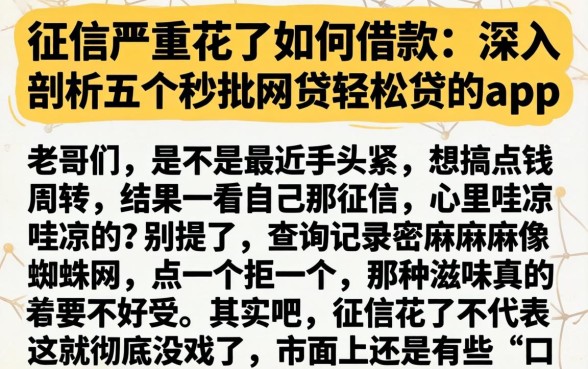 征信严重花了如何借款，深入剖析五个秒批网贷轻松贷的app
