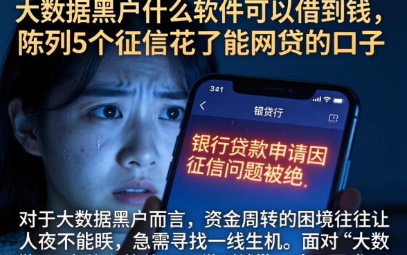 大数据黑户什么软件可以借到钱，陈列5个征信花了能网贷的口子