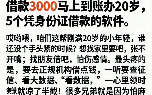 借款3000马上到账的20岁，详尽说明5个凭身份证借款的软件
