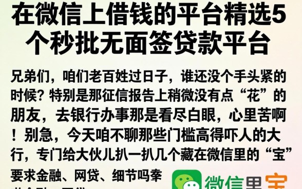 在微信上借钱的平台，精选5个秒批无面签贷款平台