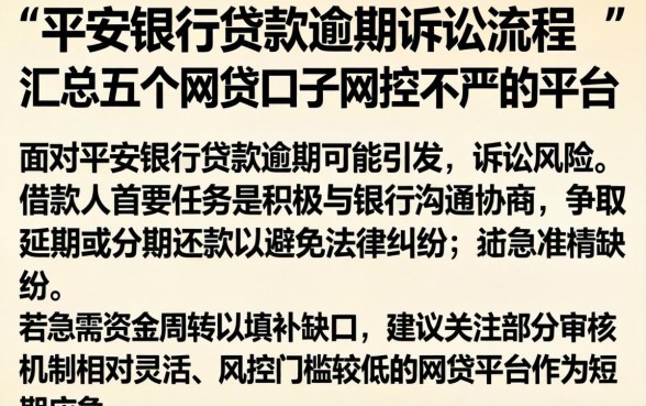 平安银行贷款逾期诉讼流程，汇总五个网贷口子风控不严的平台