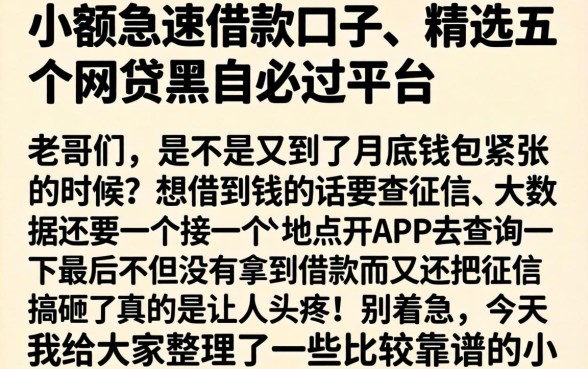 小额急速借款口子,精选五个网贷黑户必过平台